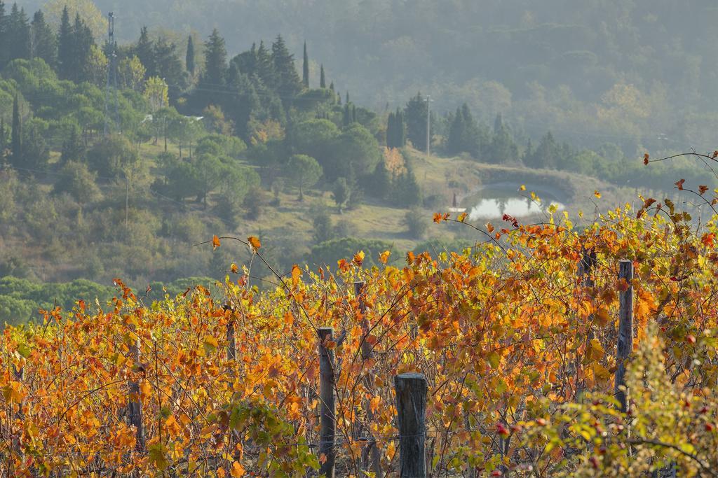 Agriturismo La Presura Strada in Chianti Buitenkant foto