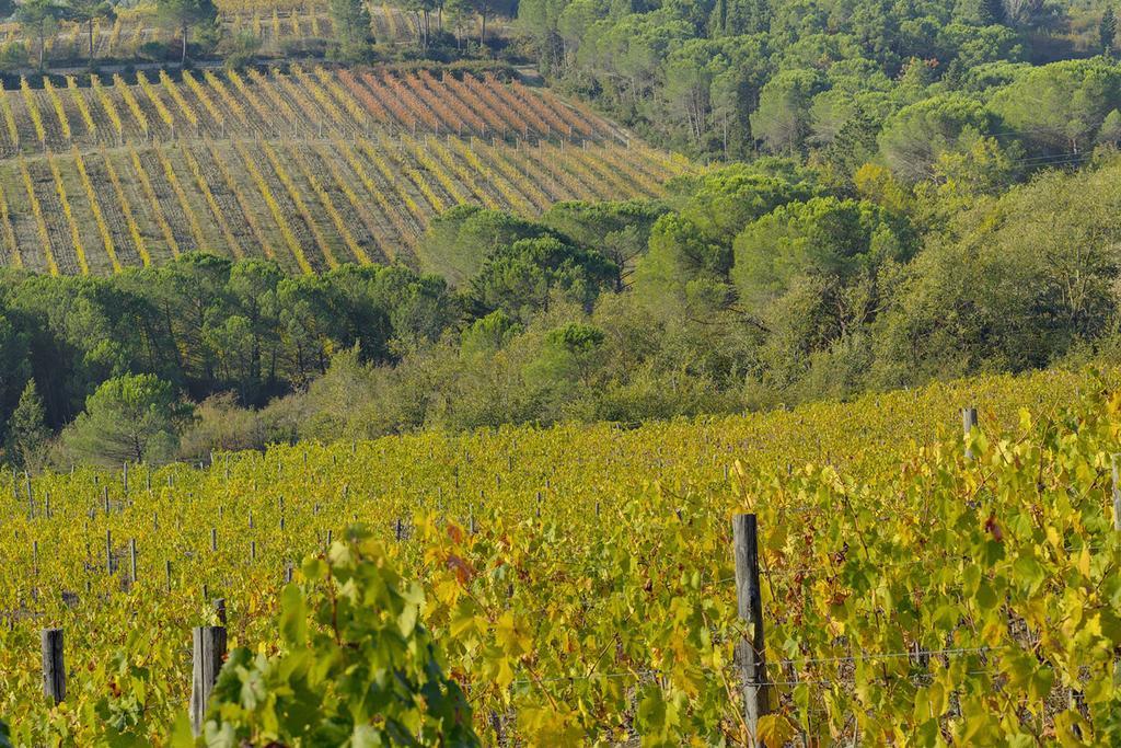 Agriturismo La Presura Strada in Chianti Buitenkant foto