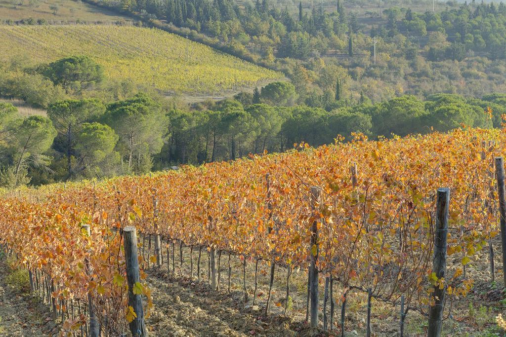 Agriturismo La Presura Strada in Chianti Buitenkant foto
