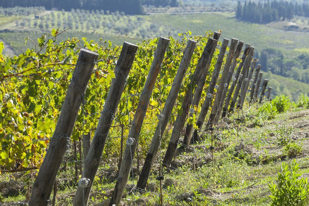 Agriturismo La Presura Strada in Chianti Buitenkant foto
