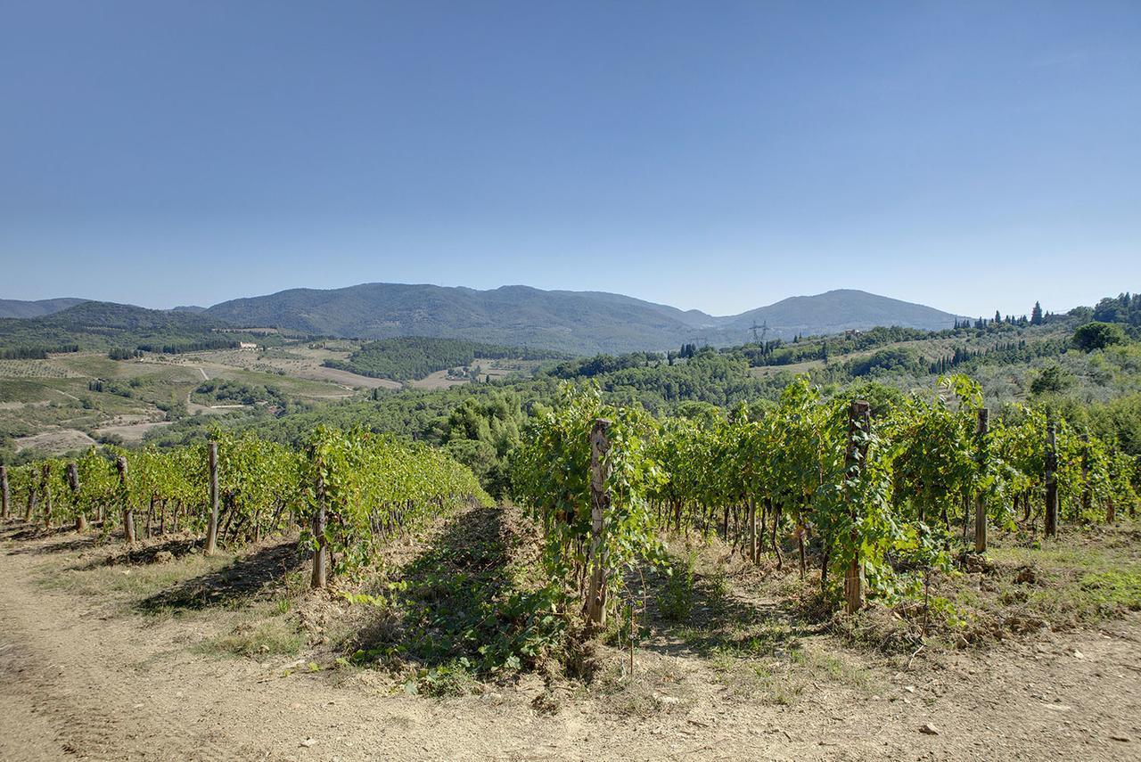Agriturismo La Presura Strada in Chianti Buitenkant foto